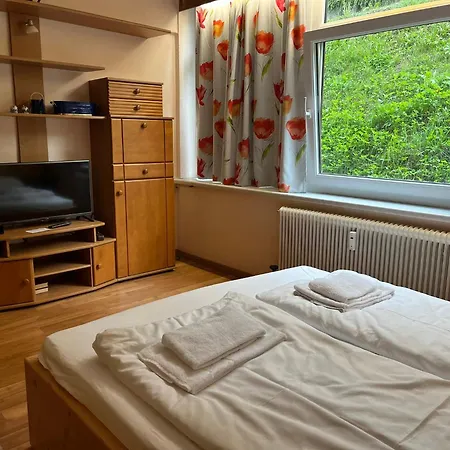 Alpin Apartamento Saalbach-Hinterglemm