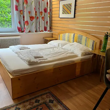 Alpin * 萨尔巴赫