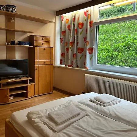 Apartmán Alpin