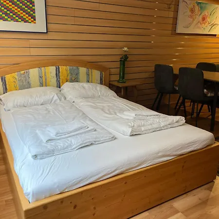 公寓 Alpin 萨尔巴赫